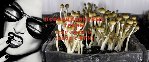 ALPHA-PVP Володарск