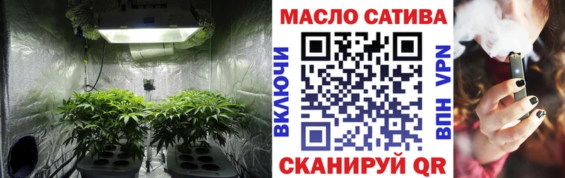 Купить закладки  Ефремов  ТГК жижа 