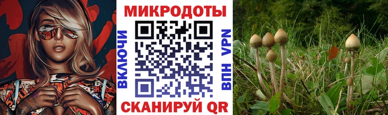 Галлюциногенные грибы ЛСД Ефремов